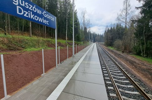 Widok na peron przystanku Boguszów-Gorce Dzikowiec